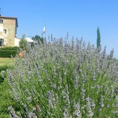Appartamenti Ava E Tegrino Nell'Antica Dimora Di Fulignano Apartment *