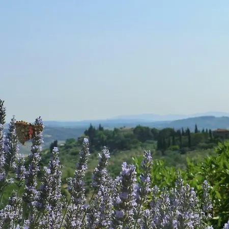 Appartamenti Ava E Tegrino Nell'Antica Dimora Di Fulignano *