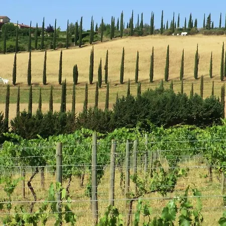 Appartamenti Ava E Tegrino Nell'Antica Dimora Di Fulignano Apartment *